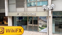 NYLSINV France  Verified:  Walang Nakitang Pisikal na Presensya