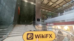 Darwinex 영국  확인됨:  물리적 존재 확인되지 않음