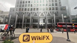 Darwinex 영국  확인됨:  물리적 존재 확인되지 않음