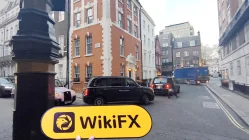 Lilium สหราชอาณาจักร  ยืนยันแล้ว:  ไม่พบการมีอยู่ทางกายภาพ