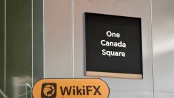 9DRAGONS Vương quốc Anh  Đã xác minh:  Không tìm thấy sự hiện diện thực tế