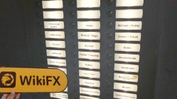 Stable Growth Exchange Germania  Verificato:  Nessuna Presenza Fisica Rilevata