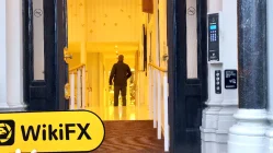 SNSFOREX 英國 驗證：未找到實體存在