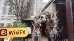 英国实地探访外汇交易商NovasTrade 不存在真实展业场所