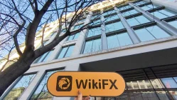 NUMISFX Royaume-Uni  Vérifié :  Aucune présence physique trouvée