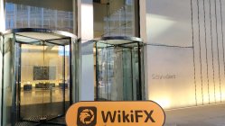 Crypto Day Tradings Великобритания  Проверено:  Физическое присутствие не обнаружено