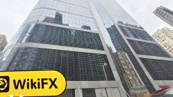 Win Wind Capital 香港  驗證： 未發現實體存在