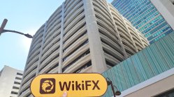 Synergy Futures Hong Kong  Verified:  Operational Office Confirmed