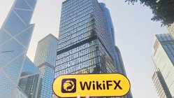 MT香港 確認済み: 物理的な拠点は見つかりませんでした