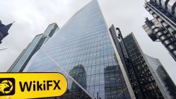 Prime CFX 英國 驗證： 未找到實體存在