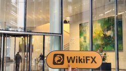 Prime CFX 英國 驗證： 未找到實體存在