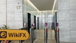 Freeman 香港  驗證狀態： 未找到實體存在