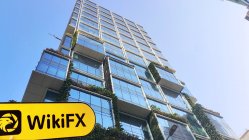 Freeman 香港  驗證狀態： 未找到實體存在