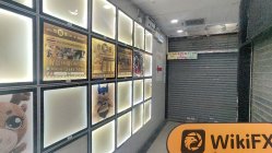 FOREXstart Hongkong  Verifiziert:  Keine physische Präsenz gefunden