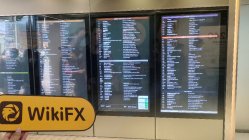 Gold Effortlessly Hongkong  Verifiziert:  Keine physische Präsenz gefunden