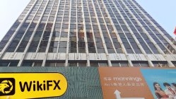 HMT Group Hong Kong Verificato: Nessuna Presenza Fisica Rilevata