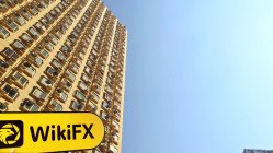 LION Hong Kong  Verified:  No Physical Presence Found