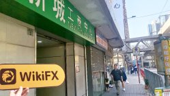 BESTOPEX Hong Kong Verificato: Nessuna Presenza Fisica Trovata