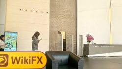 CompaqFX Hong Kong  Verificato:  Nessuna Presenza Fisica Trovata