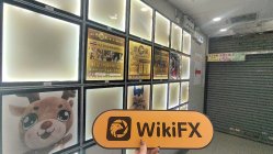 Lunboux 香港  驗證：未發現實體存在