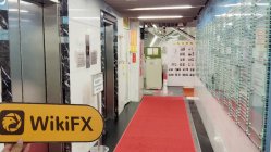 AFMCG हांगकांग  सत्यापित:  कोई भौतिक उपस्थिति नहीं मिली