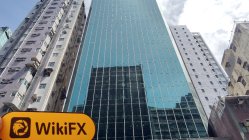 Solid Hong Kong  Doğrulandı:  Fiziksel Varlık Bulunamadı