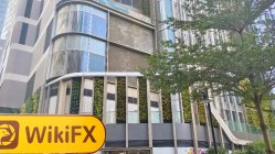 D prime Hong Kong  Verificado:  Nenhuma Presença Física Encontrada