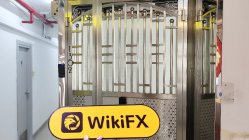 Face Capital Hong Kong  Verified:  No Physical Presence Found