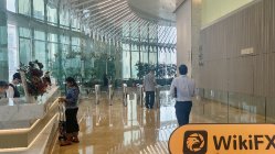 Global Wealth हांगकांग  सत्यापित:  कोई भौतिक उपस्थिति नहीं मिली