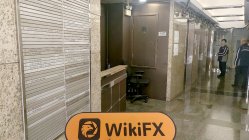 GİZFX Hong Kong Verificato: Nessuna Presenza Fisica Trovata