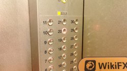 FEGFX 홍콩  확인됨:  실제 사무소 존재하지 않음