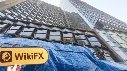 XY Capital هونغ كونغ  تم التحقق:  تأكيد مكتب التشغيل