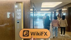 Capital Markets 香港 驗證： 未發現實體存在