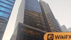 CN First 香港 確認済み: 運営事務所確認済み