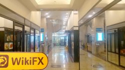 CN First 香港 確認済み: 運営事務所確認済み