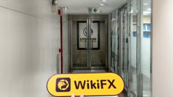 RedSun 香港 検証済み: 物理的な存在は確認されず