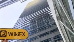 TMGM Corea del Sud  Verificato:  Ufficio Operativo Confermato