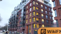 IBS Asset 네덜란드  확인됨:  물리적 존재 발견되지 않음