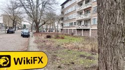 CMIC Netherlands  Verified:  No Physical Presence Found