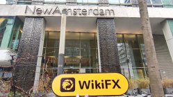 CRYPTO1CAPITAL Paesi Bassi  Verificato:  Nessuna Presenza Fisica Rilevata