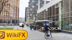 TOOLS4SEALS Hà Lan  Đã xác minh:  Không tìm thấy sự hiện diện thực tế