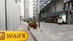 Stack Globe Netherlands  Verified:  No Physical Presence Found