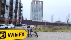 IBS Asset 네덜란드  확인됨:  물리적 존재 발견되지 않음