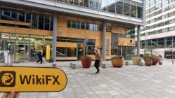 Stack Globe Netherlands  Verified:  No Physical Presence Found