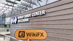 Markethouse Netherlands  Verified:  No Physical Presence Found