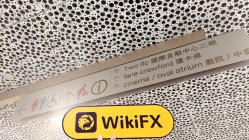 WINGKAN Hồng Kông  Đã xác minh:  Không tìm thấy sự hiện diện thực tế