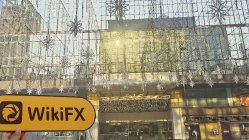 FengSheng Hong Kong  Verificato:  Nessuna Presenza Fisica Rilevata