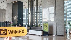 D prime Hong Kong  Verificado:  Nenhuma Presença Física Encontrada