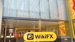 BYFX Global Гонконг, Китай  Проверено:  Физического присутствия не обнаружено