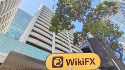 JinDao Hong Kong (Torre 2, Harbour City) Verificado: Presença Física Não Encontrada